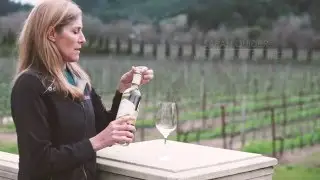 Ferrari-Carano Vineyards & Winery - Pinot Grigio