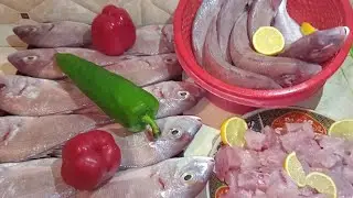 كيفية تنظيف السمك وتخزين🐟,#fishcutting1