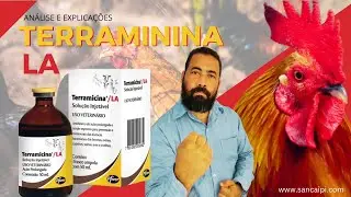 TERRAMICINA LA   REMÉDIO PARA DOENÇAS EM GALINHAS CAIPIRAS