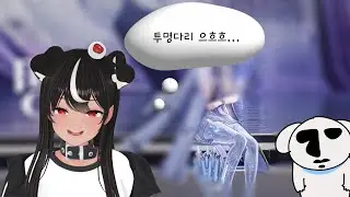 [독케익] 