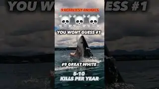 THE 9 DEADLIEST ANIMALS TO HUMANS😱 #nature #dangerous #science