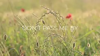Don't Pass Me By | Worship Cover | feat. Shayna Smith