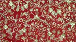Red wedding lengha choli, wedding lehenga choli from figurafashion.com