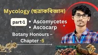 Ascocarp || Mycology (ছত্রাকবিজ্ঞান) || 2025