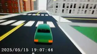 Car Crash Reaction Gone Wrong