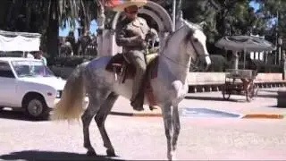 Antonio Aguilar - Raul de la Torre - El Aguila Rea