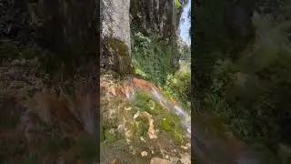 SURXONDARYO SANGARDAK SHARSHARASI