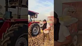 Messi Ferguson 9500 VS reaper season 🥰🤗🤔 driver surjeet