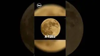 First supermoon of the year is tonight!