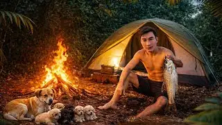 Solo survival camping in the jungle | Catch & Cook with dogs