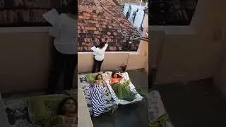 fidha movie shooting #saipallavi #viral #viralvideo #shorts #trending #facts #ytshorts #new