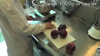 Apple Leather Preparation