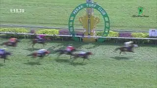 28th DECEMBER 2025 RACE 7