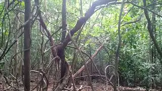 Voc&ecirc; teria coragem de estar aqui sozinho.  Deixe seu like e se inscreva no canal e compartilhe