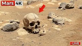 This SOL 1542 Mars Clip From NASA&rsquo;s Rover Is Hard to Explain (4K 360&deg;)