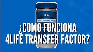 Como funciona el Factor de Transferencia 4Life &reg;