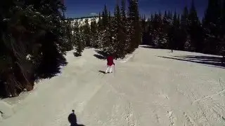 Panoramic Lift to Forget Me Not