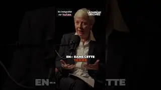 Europe: L'Islam s'implante et transforme le continent #shorts