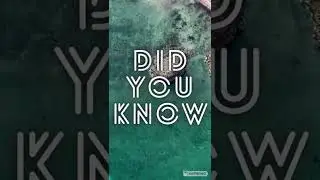 #shorts Did you know? -2-
