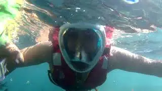 Snorkeling at Elephanta Beach
