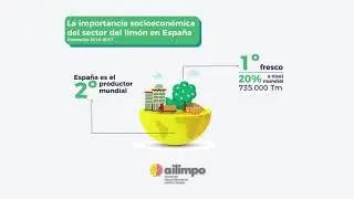 Importancia socioecon&oacute;mica del lim&oacute;n en Espa&ntilde;a