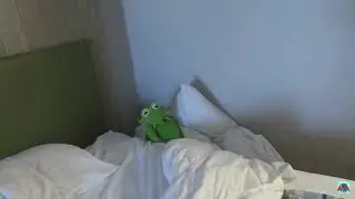 12.99 a pillow