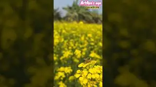 Nature Green🌲  and flower🌻 hd short #nature #flowers #artapu'seye