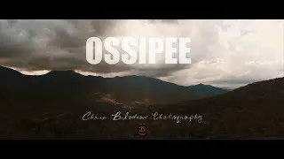 Ossipee