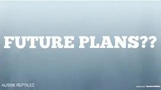 FUTURE PLANS FOR AUSSIE REPTILEZ!