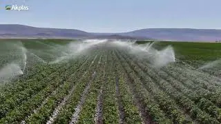 Akplas Yağmurlama Sulama / Akplas Sprinkler Irrigation
