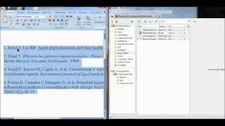 Zotero : création rapide de bibliographies, création de rapports