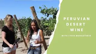 Vines vs Sand: Peruvian wine in the desert