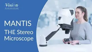 Unveiling Mantis - THE stereo microscope