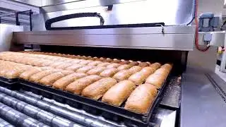 #6 NewCap - Oven Loading and Unloading system