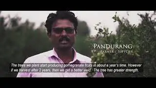 Pomella&reg; Pomegranate Extract Traceability & Sustainability