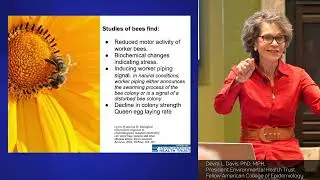 Wireless Health Effects Dr  Devra Davis 2022 Lecture