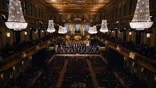 #Rolex Guide: The Vienna Philharmonic #Rolex #Perpetual