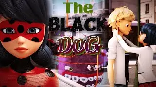 The Black Dog | Love Square ft. Adrigami & Lukanette | Miraculous Ladybug AMV