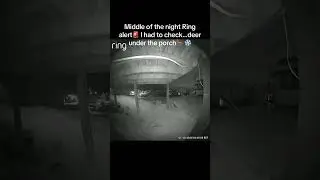 &ldquo;Ring Camera Alert&rdquo;