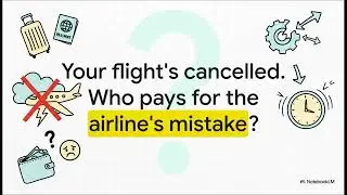 IndiGo s Meltdown Explained