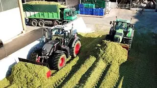 Fendt 720 Black | Deutz Fahr 7250 TTV | Trincea Insilato 2022