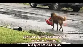 PESSOAS QUE VALORIZAM MAIS OS ERROS DO QUE OS ACERTOS   ( UMA LINDA REFLEXÃO DE VIDA )