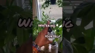 self-care reminder🪴