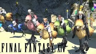 Final Fantasy XIV: BREEDING CHOCOBOS