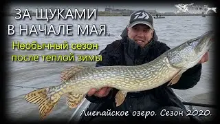 За щуками в начале мая. Лиепайское озеро 2020.
