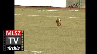 Stadler-Parmalat | 0-0 | 1995. 03. 04 | MLSZ TV Archív
