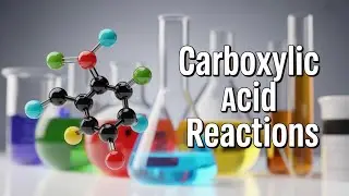 Aldehydes, Ketones and Carboxylic Acids | Part 2 Deep Dive