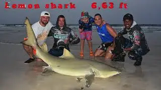 LEMON SHARK at HEAVY SURF CASTING: Ilha do Sal Cabo Verde