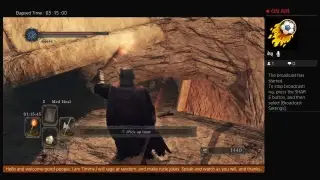 FormalKnave's Dark Souls 2 Submergence, Part 8, Spoils Of B-Team, Palico