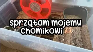 Sprzątam mojemu chomikowi🫶🏻